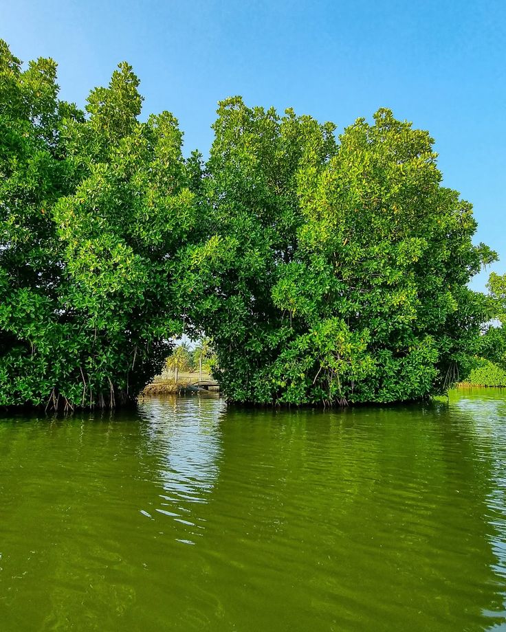 Munroe Island (Mundrothuruthu)