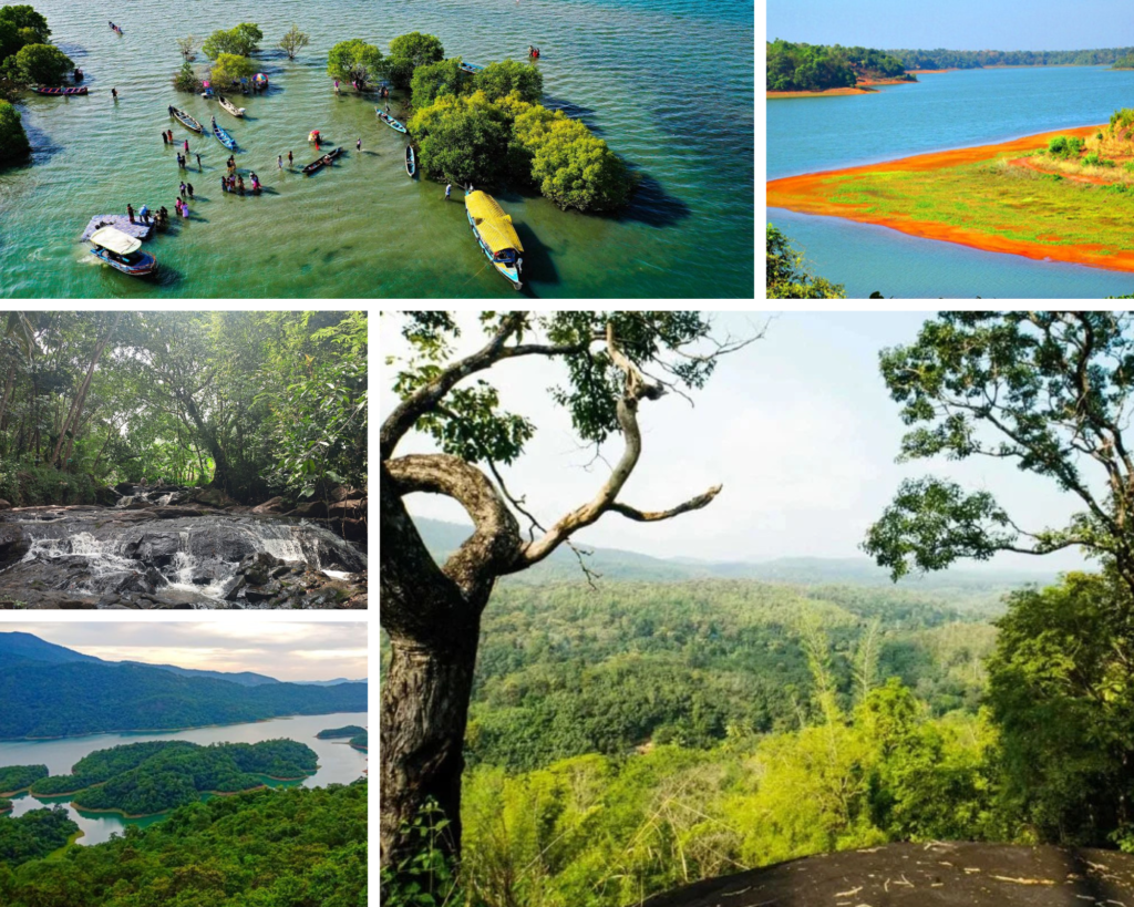Beyond the Crowds: 5 Quiet Sightseeing Spots Near Kollam for Nature Lovers